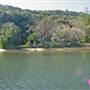 Patonga