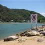 Patonga