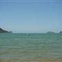 Patonga