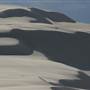 Stockton Dunes - Worimi National Park