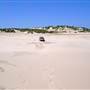 Stockton Dunes - Worimi National Park