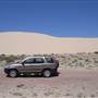 Stockton Dunes - Worimi National Park
