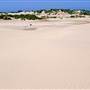 Stockton Dunes - Worimi National Park