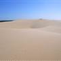 Stockton Dunes - Worimi National Park