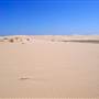 Stockton Dunes - Worimi National Park