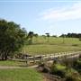 Sydney Park