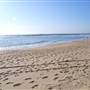 Toowoon Bay