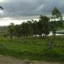 Tocal Historic Homestead