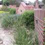 Lincoln Brickworks
