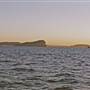 Lion Island