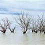 Menindee