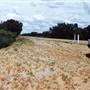 Menindee