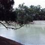 Menindee