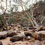 Mutawintji (Mootwingee) National Park