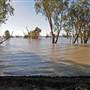 Menindee