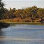Menindee