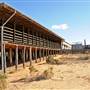Menindee