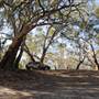 Menindee