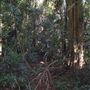 Victoria Park Nature Reserve