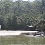 Little Collins Beach Sydney Harbour