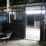 Lomar Park Stud