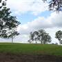 Lomar Park Stud
