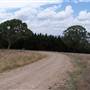 Macquarie Woods - Vittoria State Forest