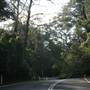 Macquarie Pass National Park
