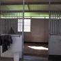 Malniri Park Stud