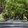 Marrickville Neighbourhood