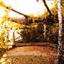 McCrossins Mill Museum