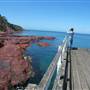 Merimbula