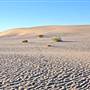 Mungo National Park