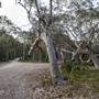 Murramarang National Park