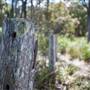 Murramarang National Park