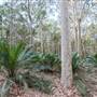 Murramarang National Park
