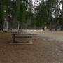 Newnes State Forest