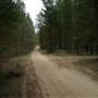 Newnes State Forest