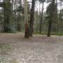 Newnes State Forest