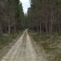 Newnes State Forest