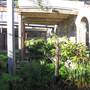 Paddington Reservoir Gardens