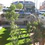 Paddington Reservoir Gardens
