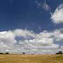 Menangle Area