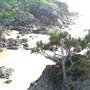 Miners Beach