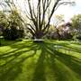 Milton Park Country House Hotel & Spa