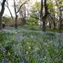 Milton Park Country House Hotel & Spa