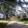 Milton Park Country House Hotel & Spa