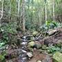 Minnamurra Falls
