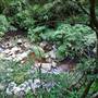 Minnamurra Falls