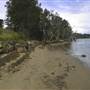 Minnamurra River